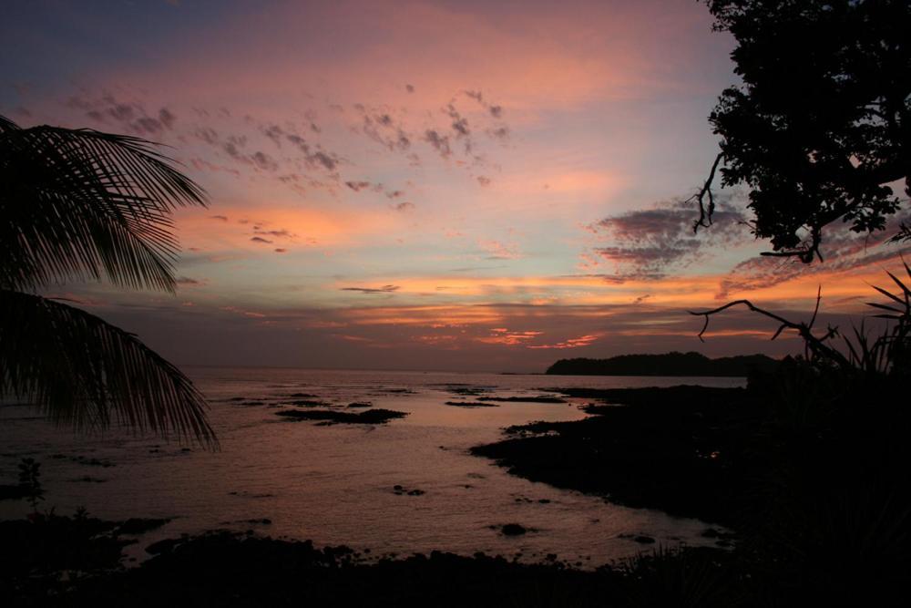 Oceanfront Bungalows - Paradise Rentals Santa Catalina Eksteriør bilde